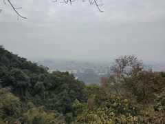 -云溪植物园
