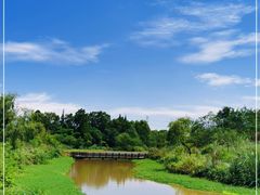 -桤木河湿地公园