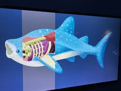 -烟台海昌鲸鲨海洋公园