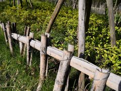 -楠溪江风景名胜区