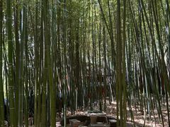 -泰山风景名胜区-普照寺