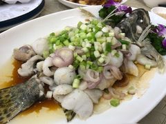 桂花鱼-轩记海鲜餐厅·四十五年老字号·经典粤菜(西区彩虹店)