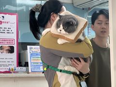 -瑞鹏·疫苗·绝育·宠物医院(金沙洲店)