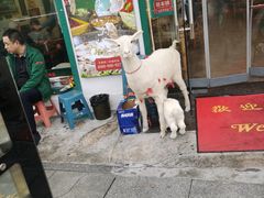 门面-草本味·市井羊肉馆(新开铺总店)