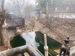 -老张烤羊(王哥庄店)