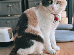 -CENCHI 汵奇咖啡(东四店)