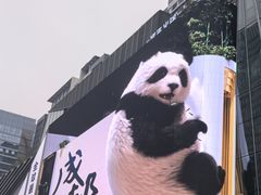 -合景·悠方(成都店)
