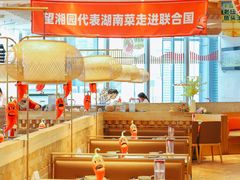 大堂-望湘园·湖南菜(宏伊店)