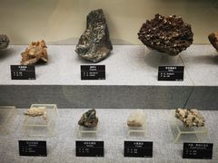 -甘肃地质博物馆