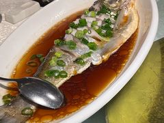 -金美华轩(东方路齐鲁店)