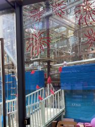 -PIPIKINGDOM皮皮王国欢乐号(欢乐海岸购物中心店)