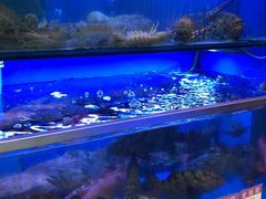 -協成海鮮火鍋(老店)