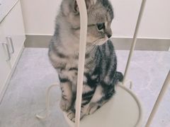 -中农国际动物医院24小时·猫科·骨科·急重症中心
