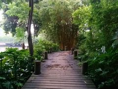 -成都市活水公园