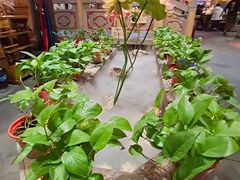景观位-蜀大侠火锅(国际购物店)