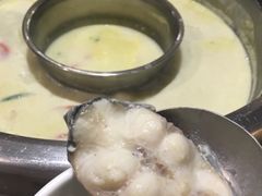 -鱼豆吉·豆浆鱼火锅(宜昌万达店)