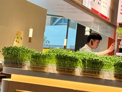 -好彩猪肚鸡(正弘城店)