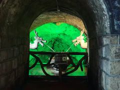 -青岛葡萄酒博物馆