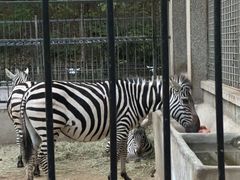 -石家庄市动物园