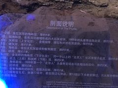 -北京周口店北京人遗址博物馆
