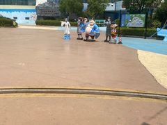 -芜湖新华联大白鲸海洋公园