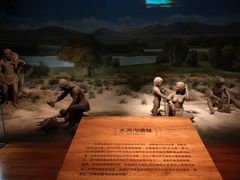 -宁夏博物馆