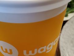 -Wagas沃歌斯(港汇恒隆广场店)