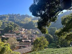-杨家堂村