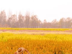 -中国天府农业博览园