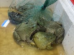 -先锋海鲜市场