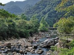 -石台牯牛降景区