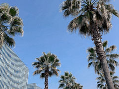 -金沙湖公园
