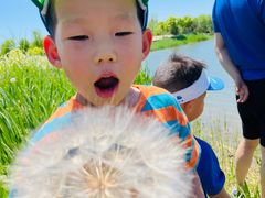 -东郊湿地公园