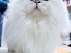 -联合动物医院(光谷诊疗中心)