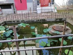 -罔极寺