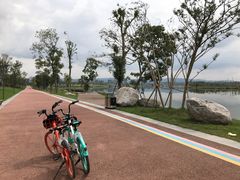 -星巴克(成都科学城店)