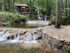 -牛背梁国家森林公园