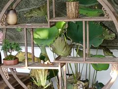-杭州植物园