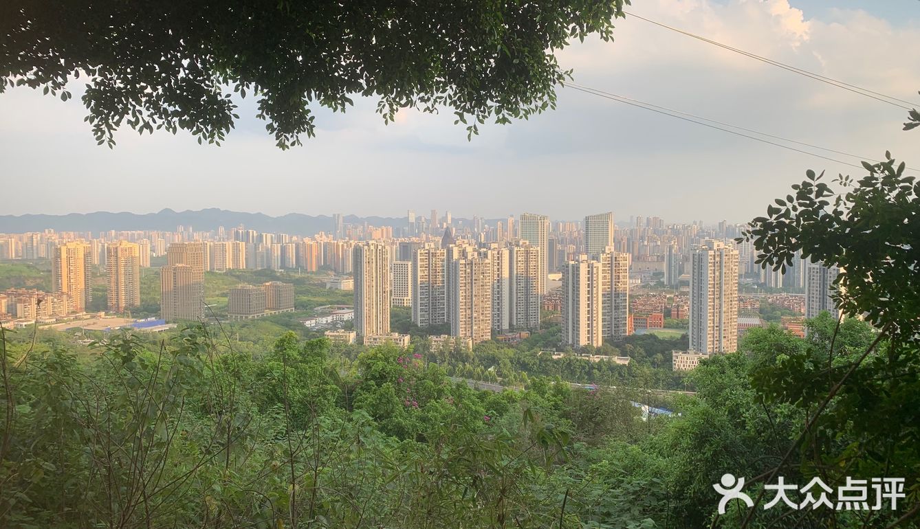 森林木屋的悠闲