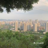 森林木屋的悠闲