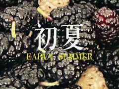 -御林古桑园