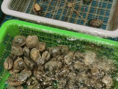 -和源祥·日照菜扛把子(万平口一店)