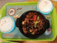 -上海野生动物园老虎餐厅