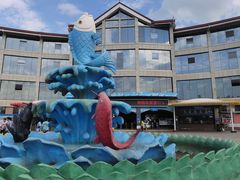 -青鱼湾水上乐园