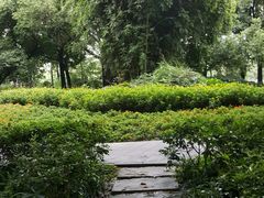 -成都市活水公园