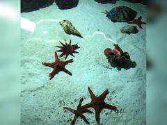 -福州罗源湾海洋世界旅游区