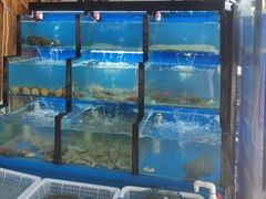 水产区-老东镇啤酒屋海鲜加工·蒸汽海鲜·海鲜烧烤(台东店)