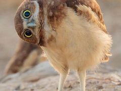 -兰溪小馆(东直门簋街店)