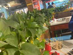 大堂-钢管厂五区小郡肝火锅串串香(清河店)