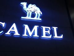 -美国骆驼(青岛利群四方购物广场店)